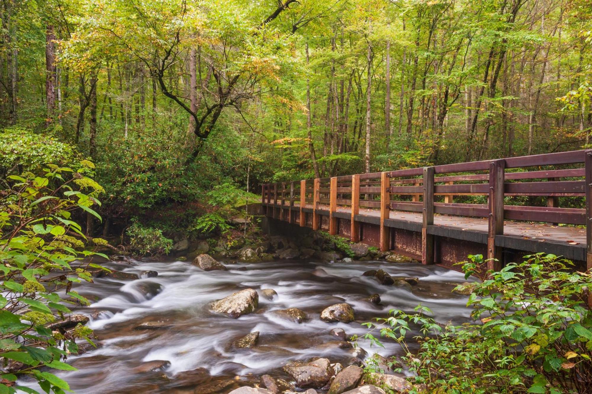 Time To Cuddle, Wifi, Near Pigeon Forge, 1089 Free Tickets Each Paid Day, Dollywood And More Kültér fotó